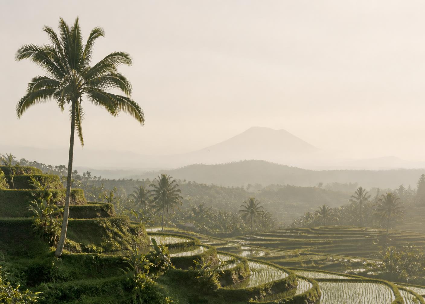 Guía de viaje de Indonesia